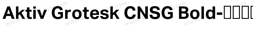 Aktiv Grotesk CNSG Bold字体转换